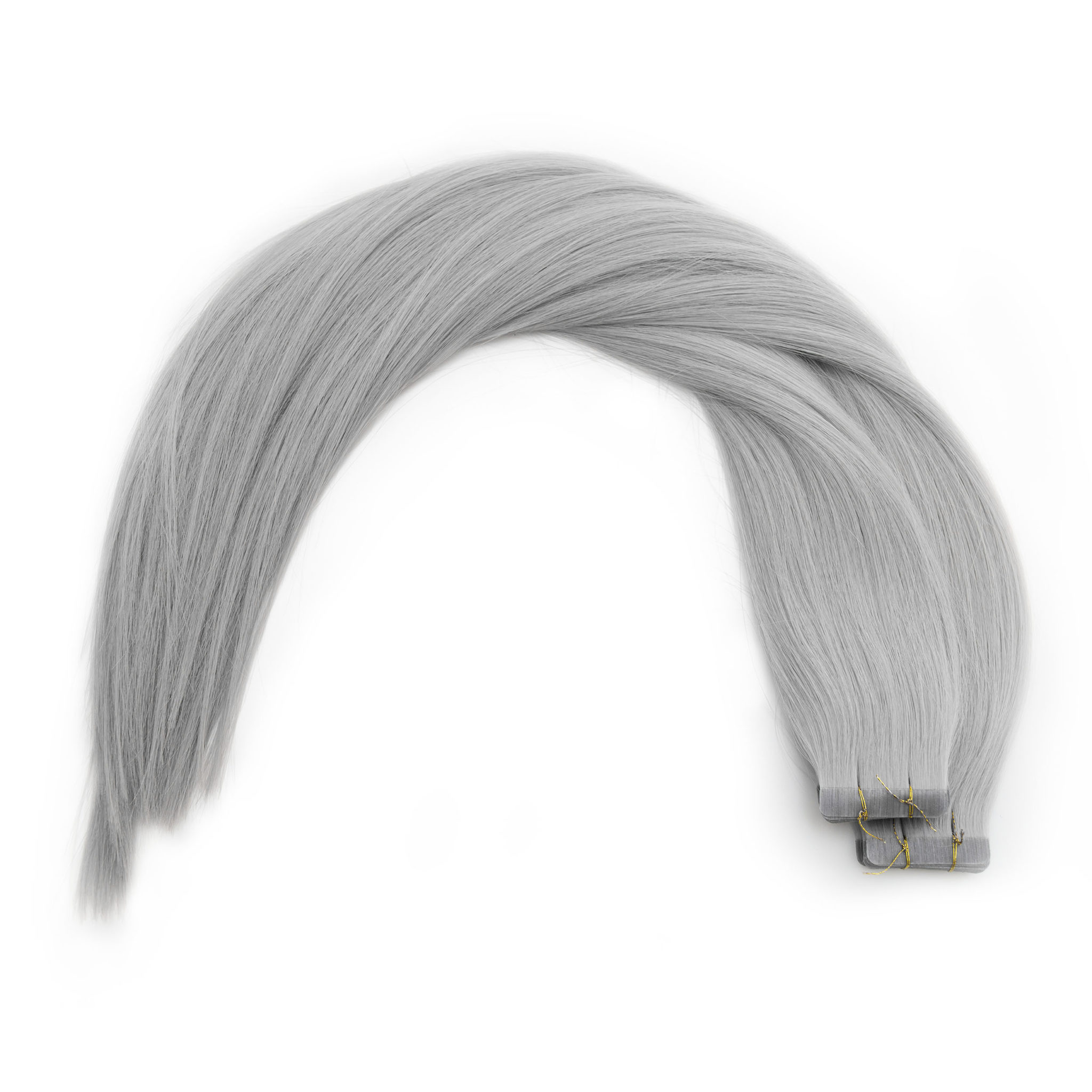 Silver fox1